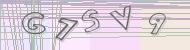 Recopiez le code