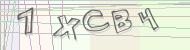Recopiez le code