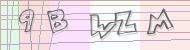 Recopiez le code