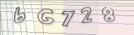 Recopiez le code