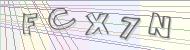 Recopiez le code