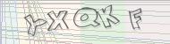 Recopiez le code