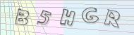 Recopiez le code