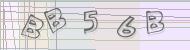 Recopiez le code