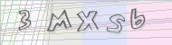 Recopiez le code