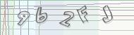 Recopiez le code