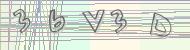 Recopiez le code