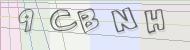 Recopiez le code