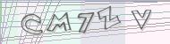Recopiez le code
