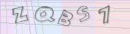 Recopiez le code