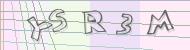 Recopiez le code