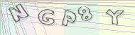 Recopiez le code