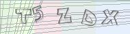 Recopiez le code