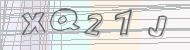 Recopiez le code
