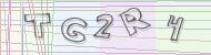 Recopiez le code