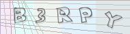 Recopiez le code