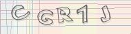 Recopiez le code