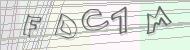 Recopiez le code