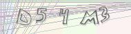 Recopiez le code
