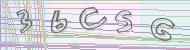 Recopiez le code