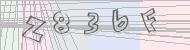 Recopiez le code