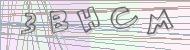 Recopiez le code