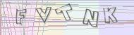 Recopiez le code