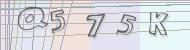 Recopiez le code