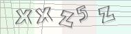 Recopiez le code