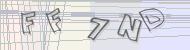 Recopiez le code
