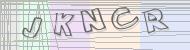 Recopiez le code
