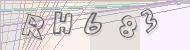 Recopiez le code