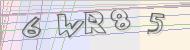 Recopiez le code