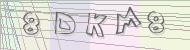 Recopiez le code