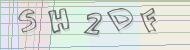 Recopiez le code