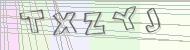 Recopiez le code