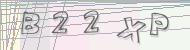 Recopiez le code