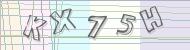 Recopiez le code