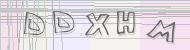 Recopiez le code