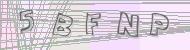 Recopiez le code