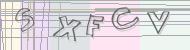 Recopiez le code