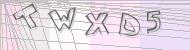 Recopiez le code