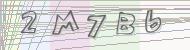 Recopiez le code