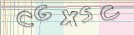 Recopiez le code