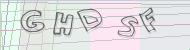 Recopiez le code
