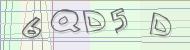 Recopiez le code