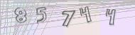 Recopiez le code