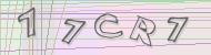 Recopiez le code