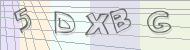 Recopiez le code