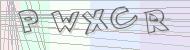 Recopiez le code